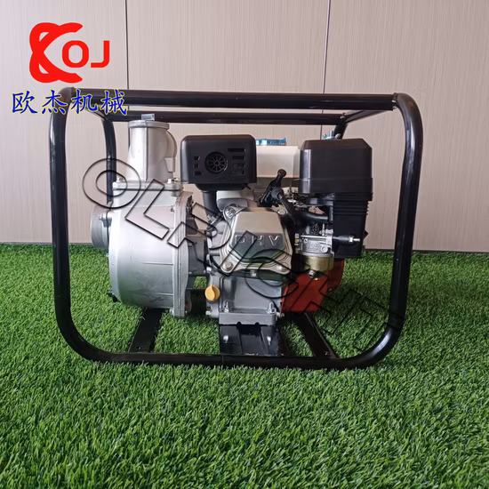 Moteur à essence de pompe à eau haute pression agricole de 7,5 HP pour le prix de l'irrigation